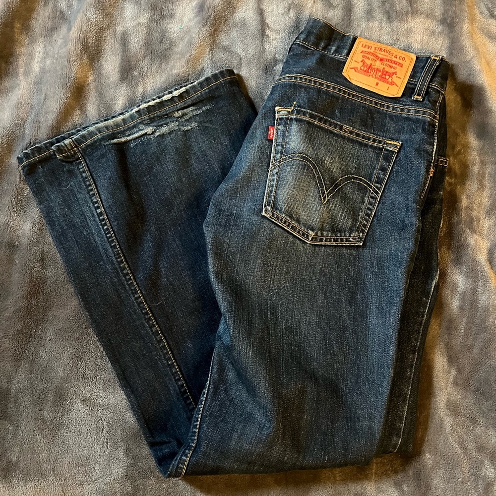 Levi's Men's Blue Jeans